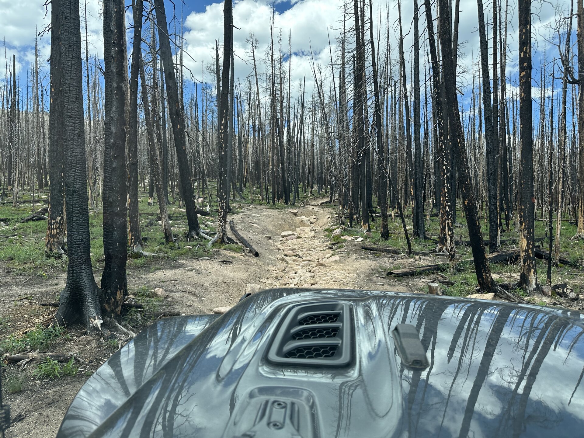 Gallery photo 5