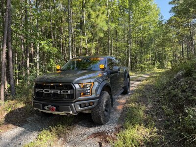 Talladega National Forest Trail Day + Optional Overnight — product photo