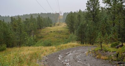 Bogus 07 - FS Road 6307