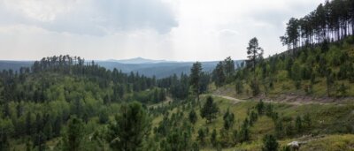 Bear Den - FS Road 567.1