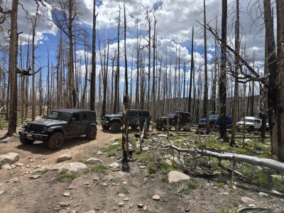 Bald Mountain -  FS Road 517